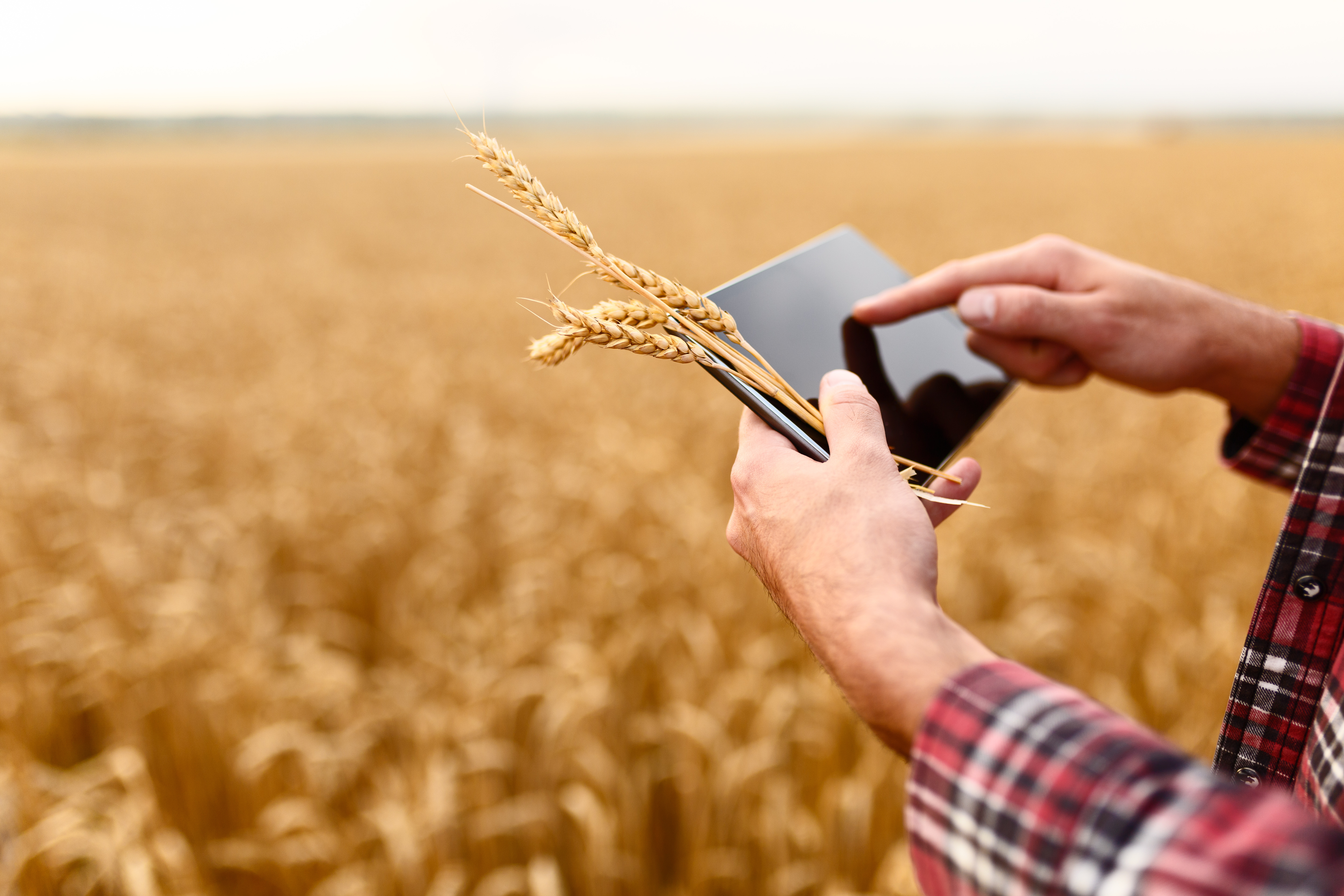HokuApps Agriculture App Crafts a Tech-driven Collaborative Ecosystem