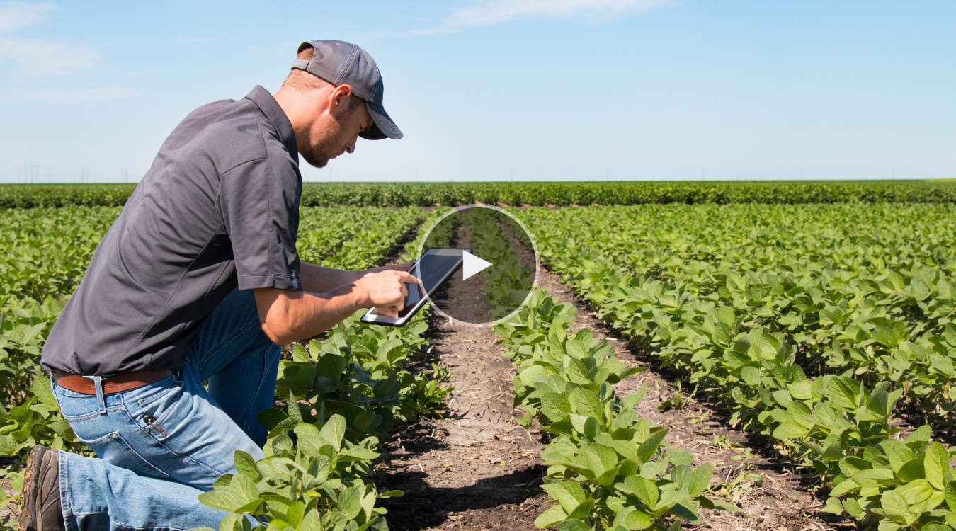 Digitizing the Farming Experience for Your Agribusiness